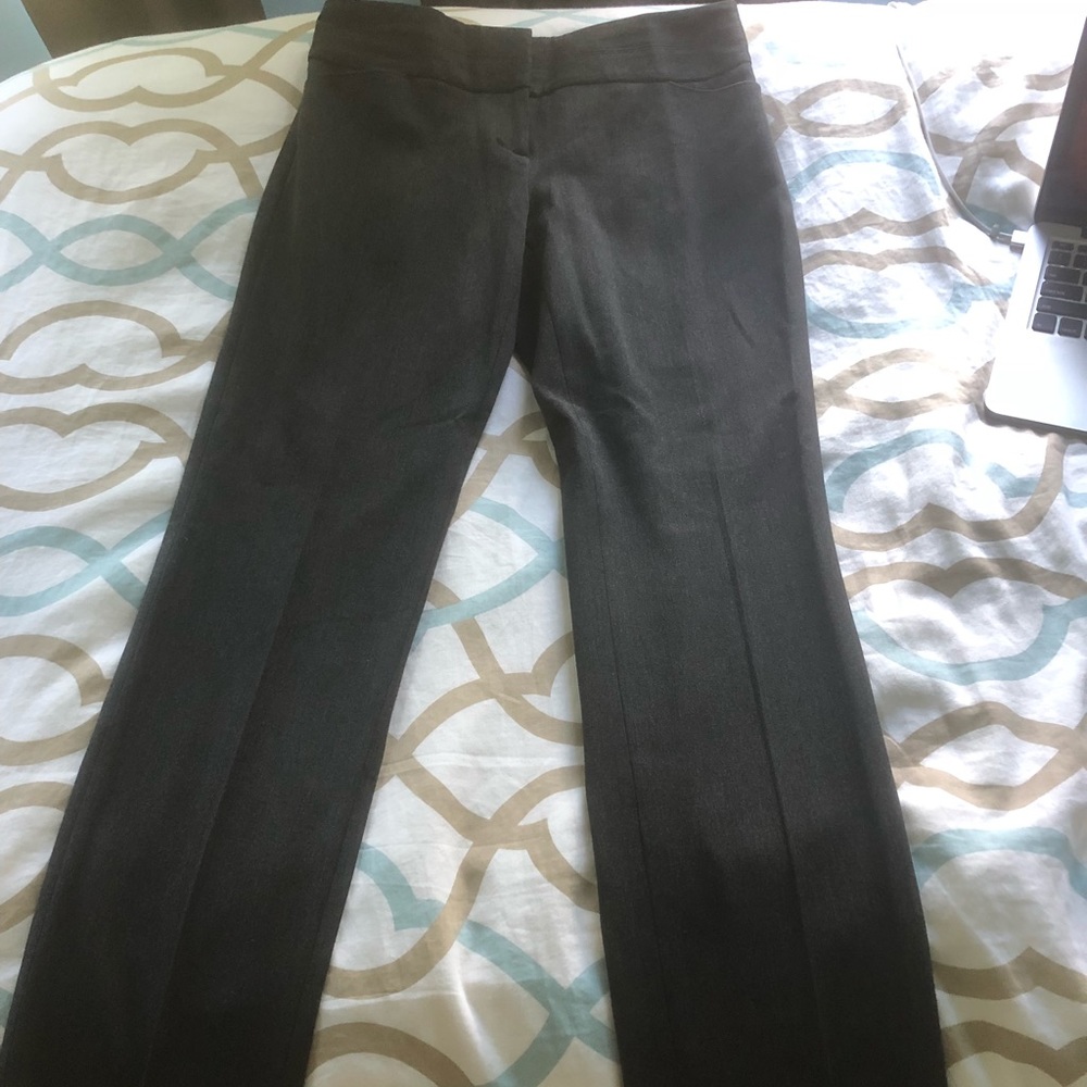The Editor dress pant
